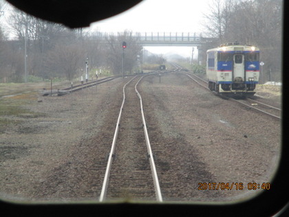 1492644993-IMG_3338.JPG