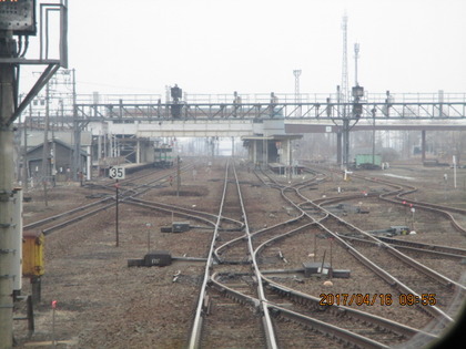1492645564-IMG_3343.JPG