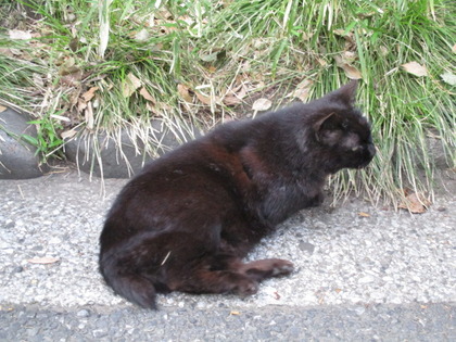 1492775829-IMG_3419.JPG