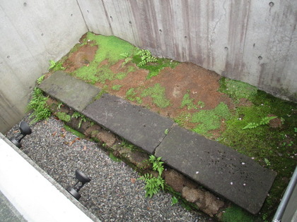 1493076570-IMG_3401.JPG