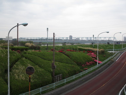 1493185119-IMG_3447.JPG