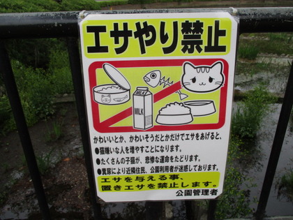 1493354556-IMG_3532.JPG