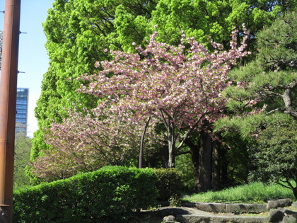 1493594327-IMG_3562.JPG