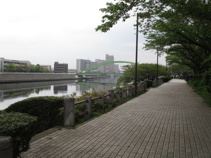 1493594445-IMG_3427.JPG