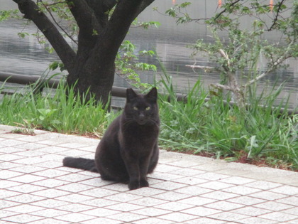 1493594659-IMG_3425.JPG