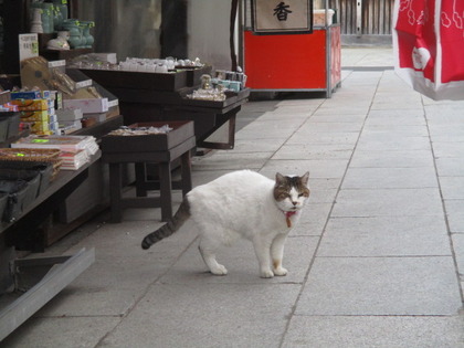 1493594849-IMG_3439.JPG