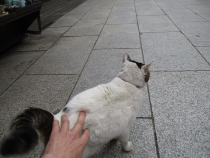 1493595600-IMG_3441.JPG