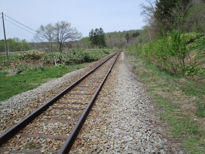 1494828725-IMG_3689.JPG