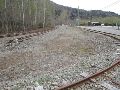 1494898333-IMG_3680.JPG