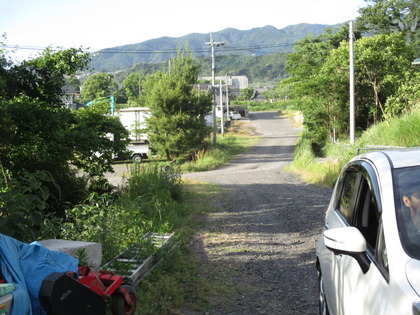 1496128731-IMG_3780.JPG