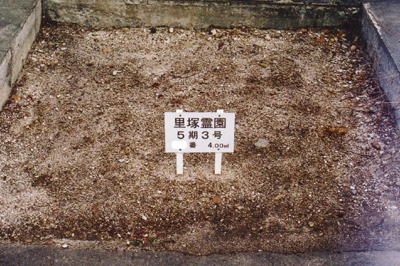 空き地