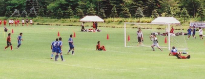 立てない横野