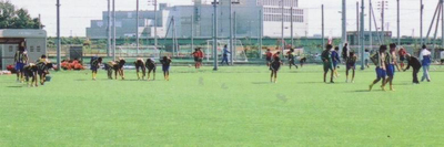 芝拾い