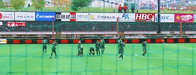 カメレオンのような保護色