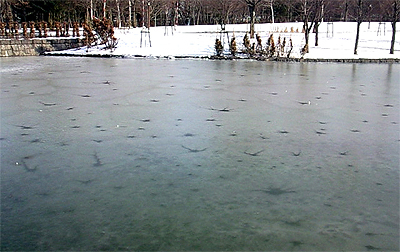 池の氷