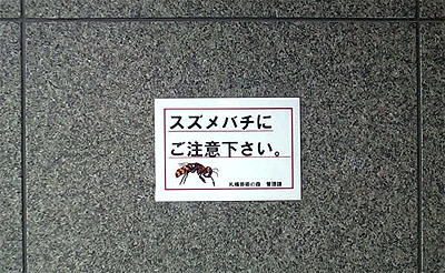 スズメバチ