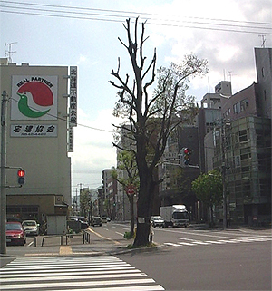 危険な僕