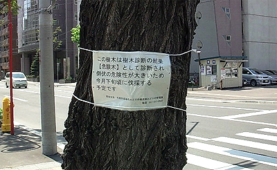 宣告は先刻承知