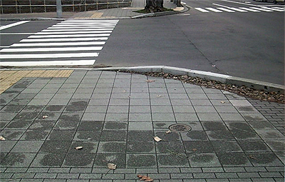 バッサリ伐採
