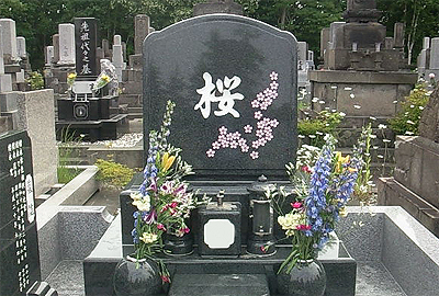 桜が１年中咲いている