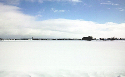 北村の雪原