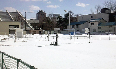 だいぶ減った