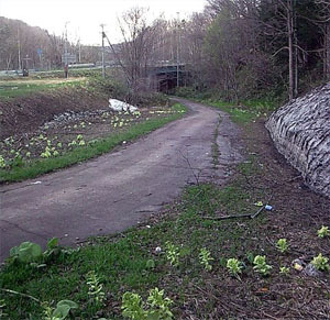 旧胆振線の跡地