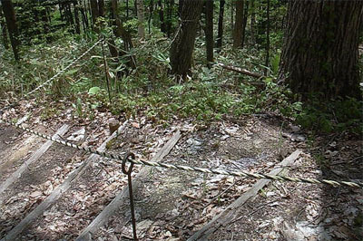 うるし生いし彼の山