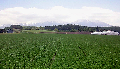 十勝岳連峰