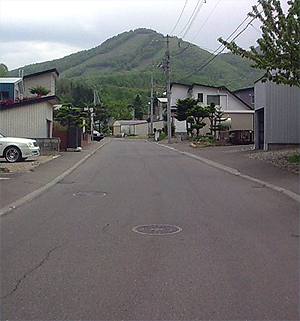 藤野の山・・不治の病？