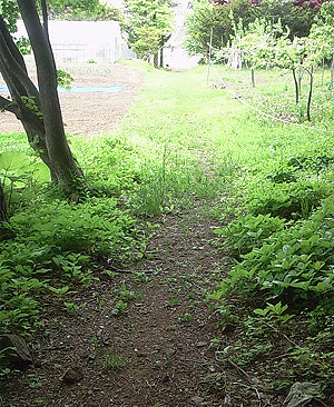 ホッとしたけど物足りない