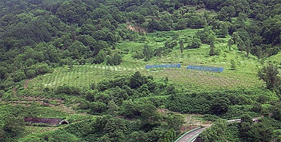 向かいの山