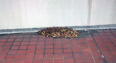 疾風怒涛