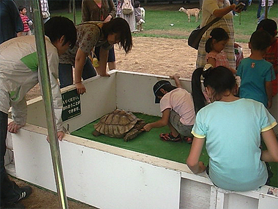 檻に入れられた子供達
