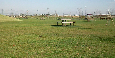 東雁来公園