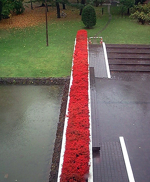 紅い路