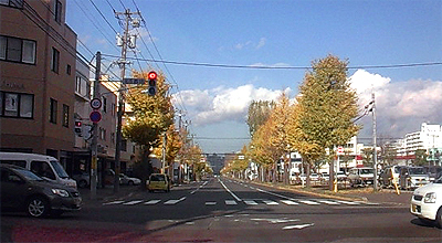 赤信号 みんなで渡れば みんな死ぬ