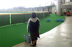 見上げてごらん、すが漏りを