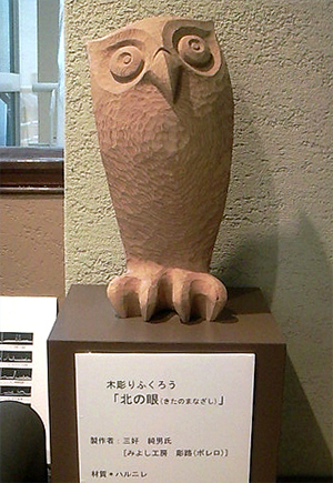 北の眼（まなざし）