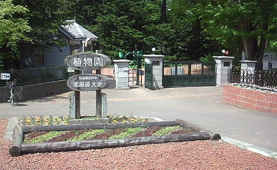 入口は右側です