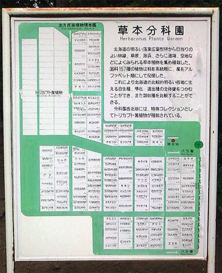 植物図鑑のようなもの