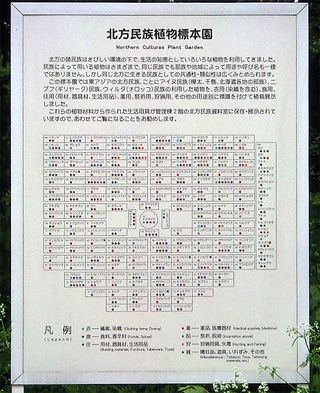 薬草園のような