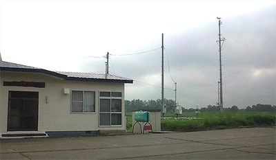駒場には馬がいる？