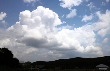 元気の良い雲