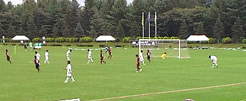これは取れない