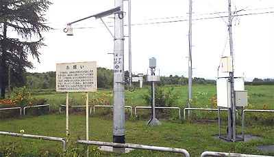 四つのお願い聞いてほしいの