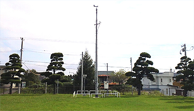 日本庭園みたい