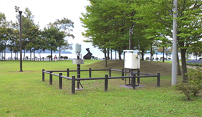 静かな湖畔の森の陰から