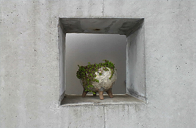 こんにちゎ