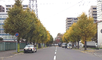 いつもタクシーが停まってる